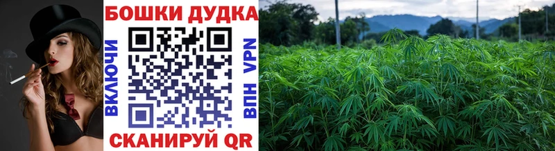 Магазины продажи наркотиков Баксан Codein  A PVP  Меф  Канабис 