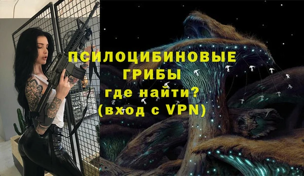 гидропоника Аркадак