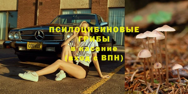 гидропоника Аркадак