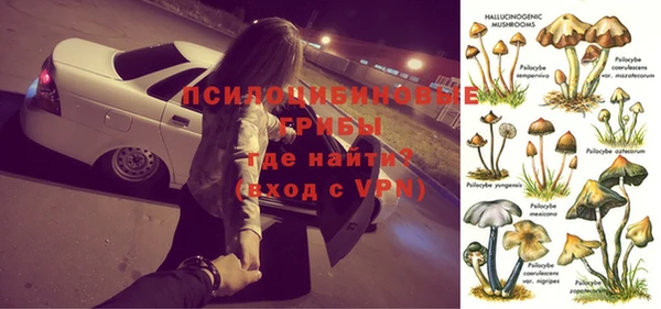 тгк Арсеньев